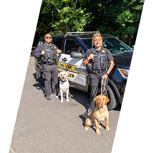 Tulalip Police Department two police officers with two yellow lab K9 dogs, standing near a police car. 